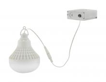 Satco Products 86/216 - Temporary work light; LED; For use with remote drivers; Low voltage 10W/12W/24W; 3000K; 12 Volts