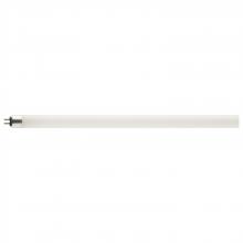 Satco Products S19946 - 11 Watt; 2 Foot; T5 LED; Miniature Bi Pin Base; 3500K; Type A; 1350 Lumens