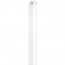 Satco Products S26559 - 14 Watt; T12 Preheat Fluorescent; 4100K Cool White; 80 CRI; Medium Bi Pin