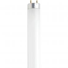 Satco Products S27931 - 14 Watt; Fluorescent T8; 6500K; Daylight; Medium Bi-Pin (G13) Base