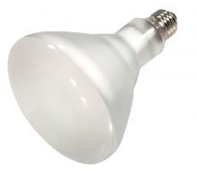 Satco Products S4513 - 120 Watt; Halogen; BR40; 2500 Average rated Hours; 1780 Lumens; Medium base; 120 Volt