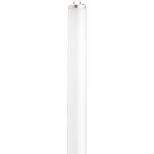 Satco Products S6560 - 14 Watt; T12; Fluorescent; 6500K Daylight; 76 CRI; Medium Bi Pin base