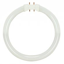 Satco Products S8155 - 22 Watt; T5; Circline Fluorescent; 3000K Warm White; 82 CRI; 2GX13 (4-Pin) base