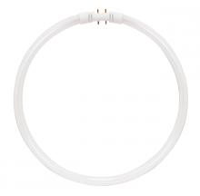 Satco Products S8156 - 22 Watt; T5; Circline Fluorescent; 3500K Neutral White; 82 CRI; 2GX13 (4-Pin) base