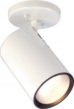 Nuvo SF76/418C - 1 Light - R30 - Straight Cylinder